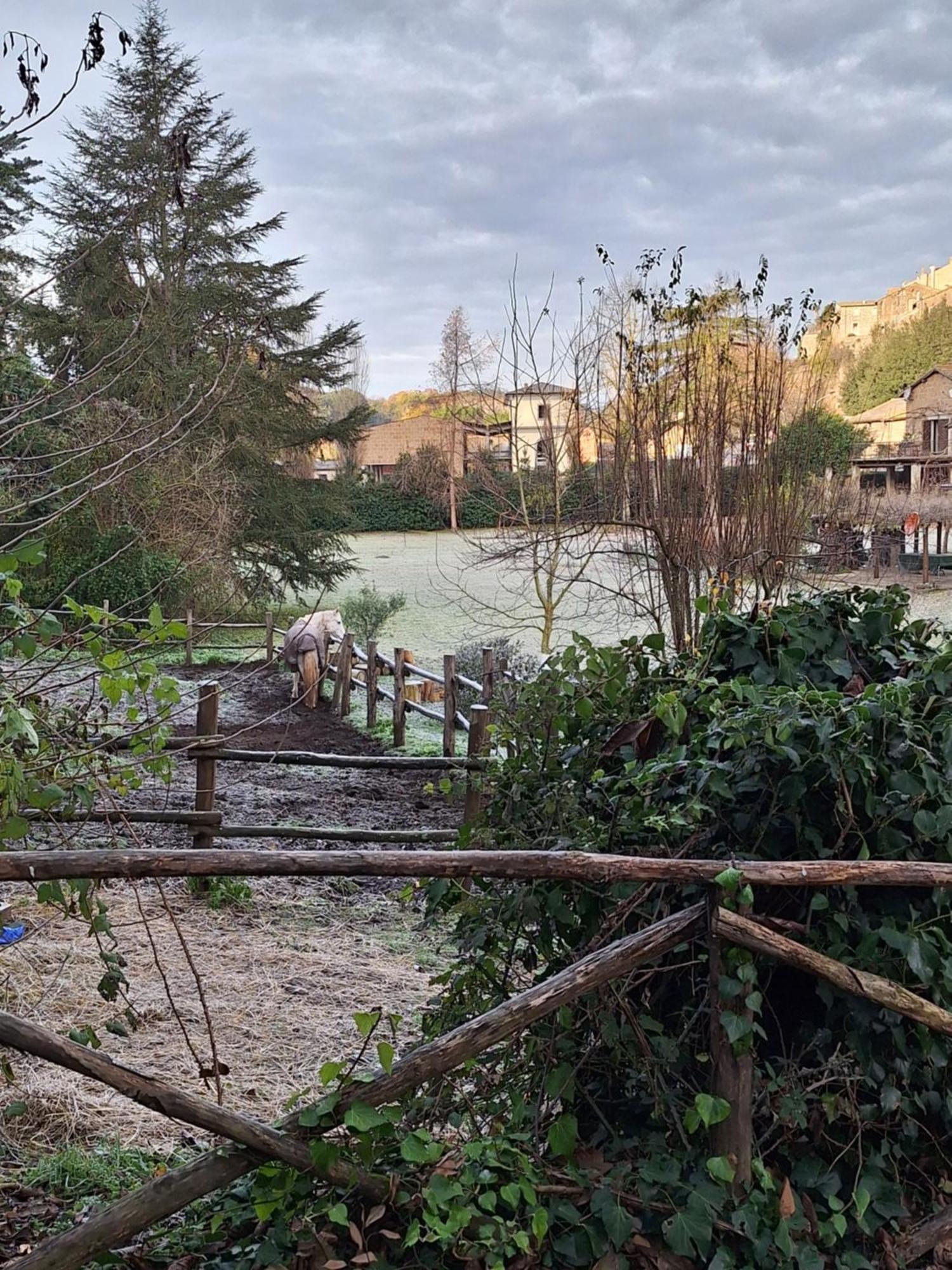 Radici Etrusche Sutri Hotel Luaran gambar